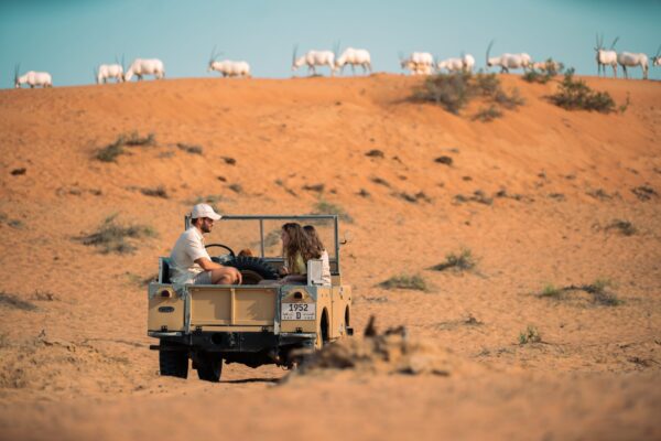 Desert safari Ras al Khaimah - Image 2