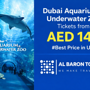 Dubai Aquarium and Underwater Zoo Tickets